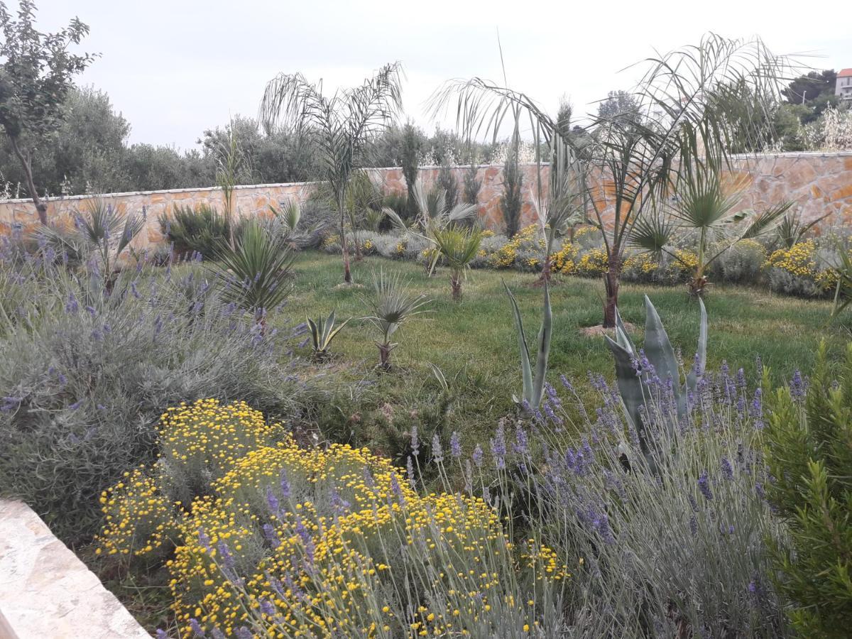 Palm Paradise Stobreč المظهر الخارجي الصورة