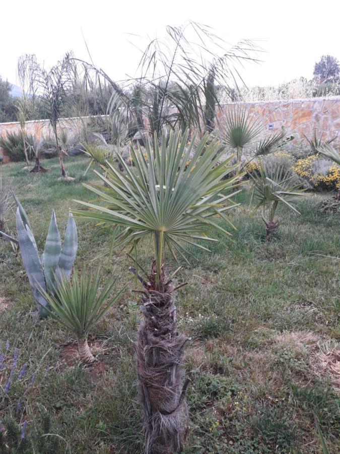 Palm Paradise Stobreč المظهر الخارجي الصورة